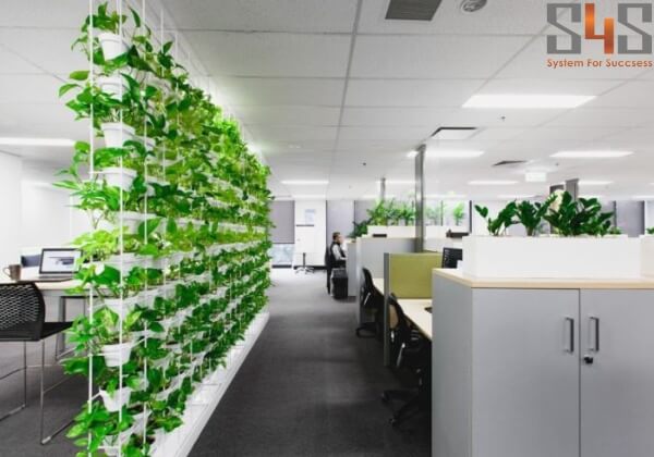 Trang trí cây xanh giúp nhân viên có nguồn năng lượng tích cực